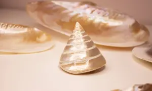 Ein kegelförmiges Perlmutt-Objekt, umgeben von größeren Muschelschalen. Die schimmernde Oberfläche des Perlmutt-Objekts symbolisiert Reinheit und Schönheit.