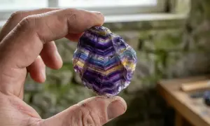 Ein Mann hält einen schillernden Blue John Stein, dessen violette und gelbe Streifen wie ein Regenbogen leuchten.