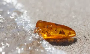 Bernstein, ein wahrer Edelstein, liegt im Sand, von der Welle umspült. In seinem Inneren sind winzige Insekten gefangen, Zeugen einer längst vergangenen Zeit.