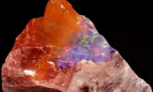 Ein roher Feueropal mit leuchtenden Farben, dessen feurige Wirkung durch das Spiel von Licht und Farbe im Stein fasziniert.