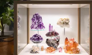 Eine Vitrine mit verschiedenen Kristallen, darunter Amethyst und ein faszinierender turmalin rohstein.