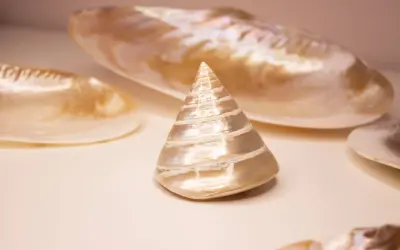 Ein kegelförmiges Perlmutt-Objekt, umgeben von größeren Muschelschalen. Die schimmernde Oberfläche des Perlmutt-Objekts symbolisiert Reinheit und Schönheit.