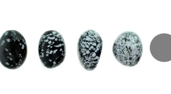 Vier polierte Steine aus schneeflockenobsidian, die wie kleine Eier geformt sind, liegen nebeneinander. Ein grauer Kreis rechts daneben.