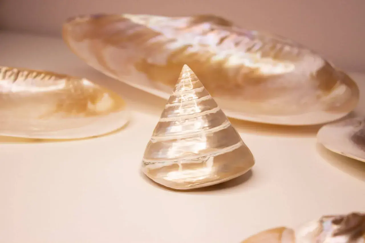 Ein kegelförmiges Perlmutt-Objekt, umgeben von größeren Muschelschalen. Die schimmernde Oberfläche des Perlmutt-Objekts symbolisiert Reinheit und Schönheit.