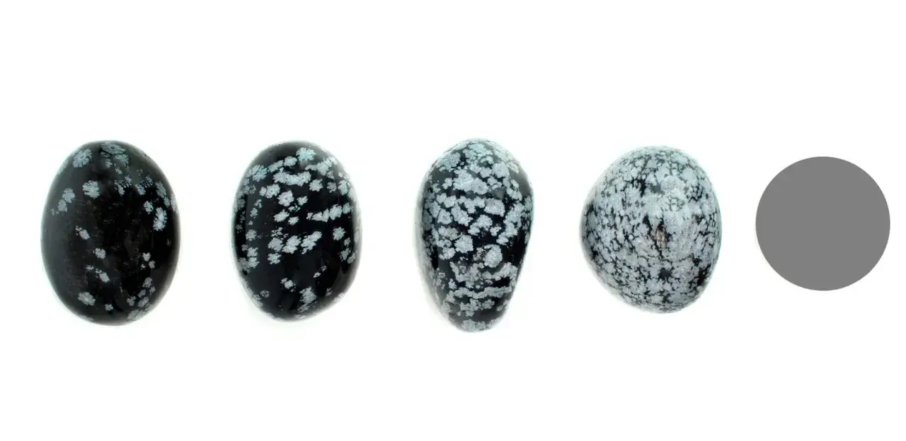 Vier polierte Steine aus schneeflockenobsidian, die wie kleine Eier geformt sind, liegen nebeneinander. Ein grauer Kreis rechts daneben.
