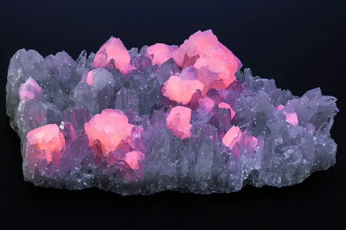 Ein leuchtender Manganocalcit-Kristallcluster mit rosa und violetten Spitzen auf einem dunklen Hintergrund.
