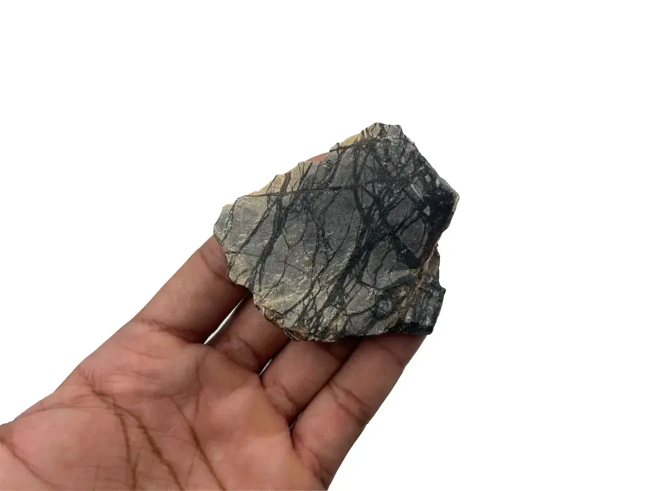 Ein St&uuml;ck Picasso Jaspis mit seinen charakteristischen schwarzen Linien auf grauem Grund wird in einer Hand gehalten.