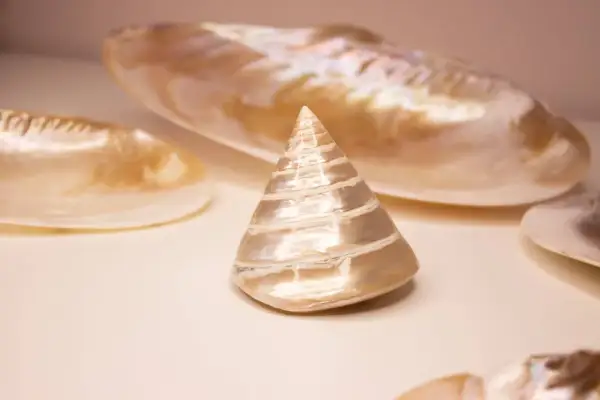 Ein kegelförmiges Perlmutt-Objekt, umgeben von größeren Muschelschalen. Die schimmernde Oberfläche des Perlmutt-Objekts symbolisiert Reinheit und Schönheit.